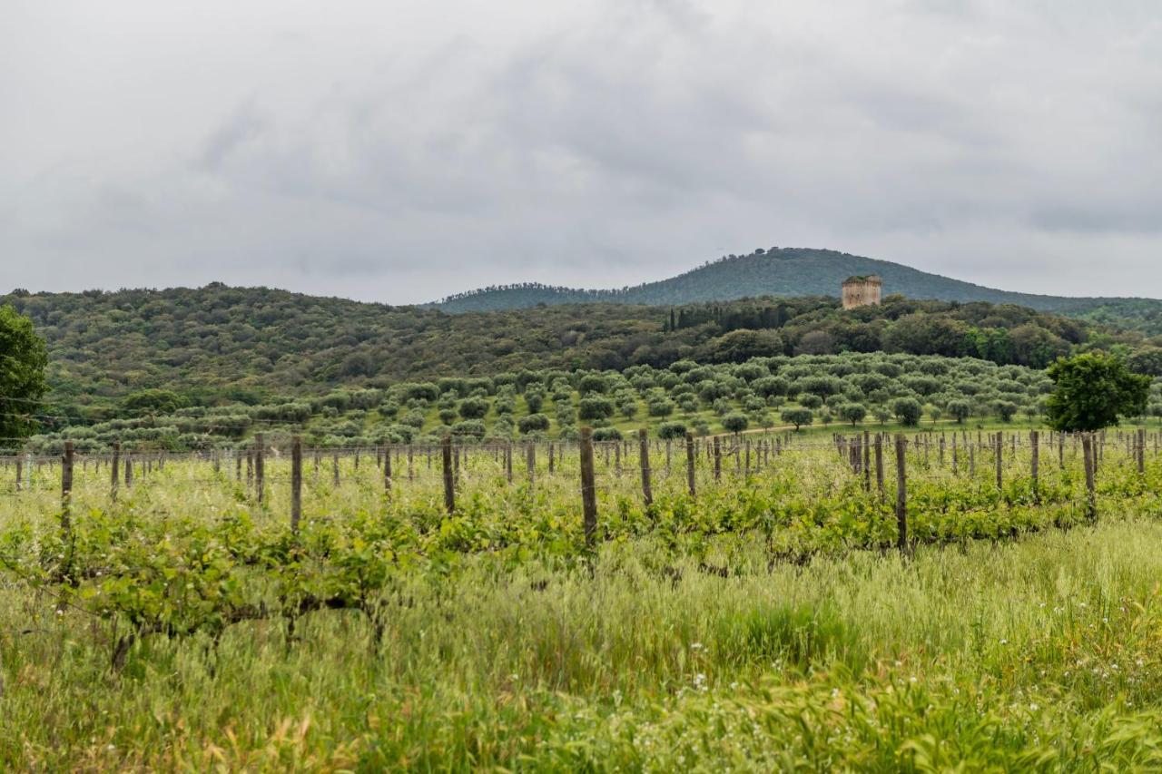Tenuta Agricola Dell'Uccellina Magliano in Toscana Exteriér fotografie