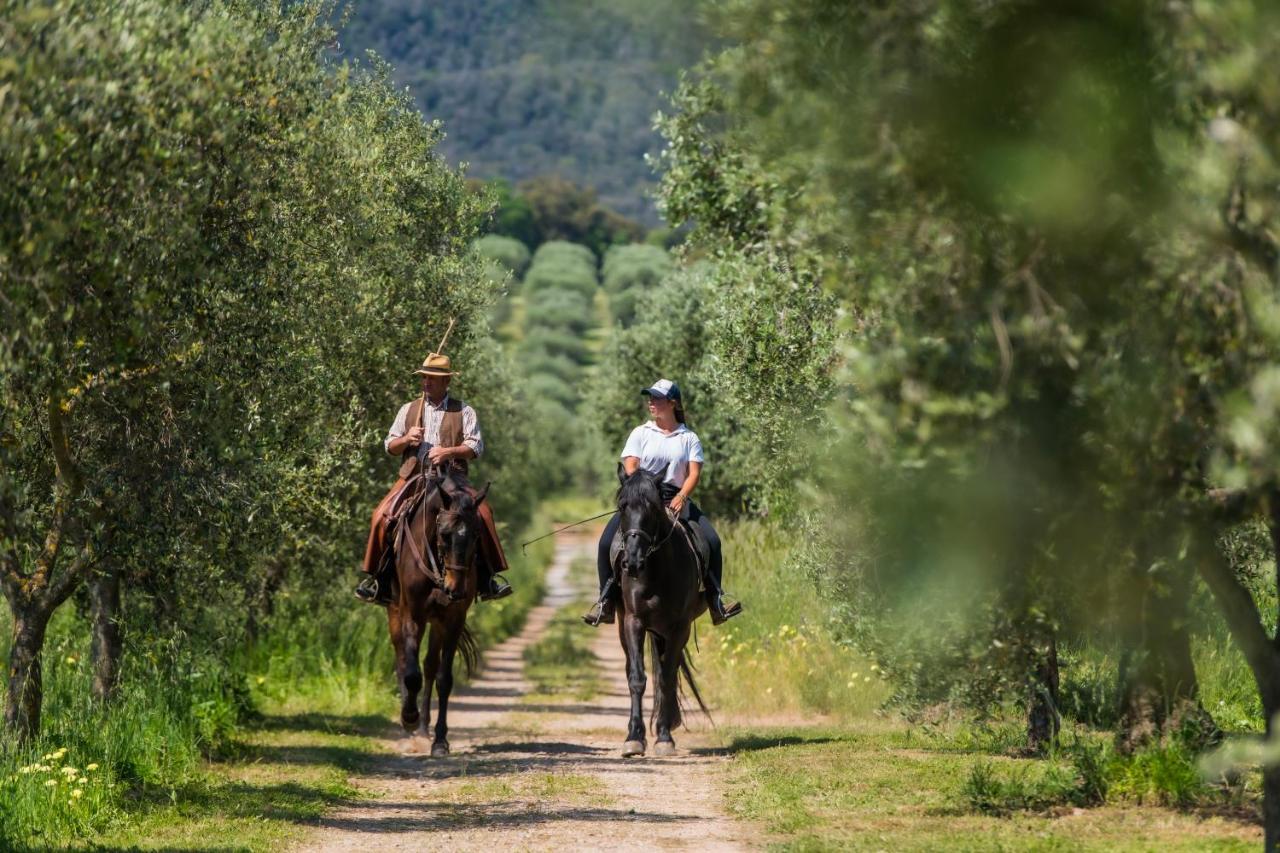 Tenuta Agricola Dell'Uccellina Magliano in Toscana Exteriér fotografie