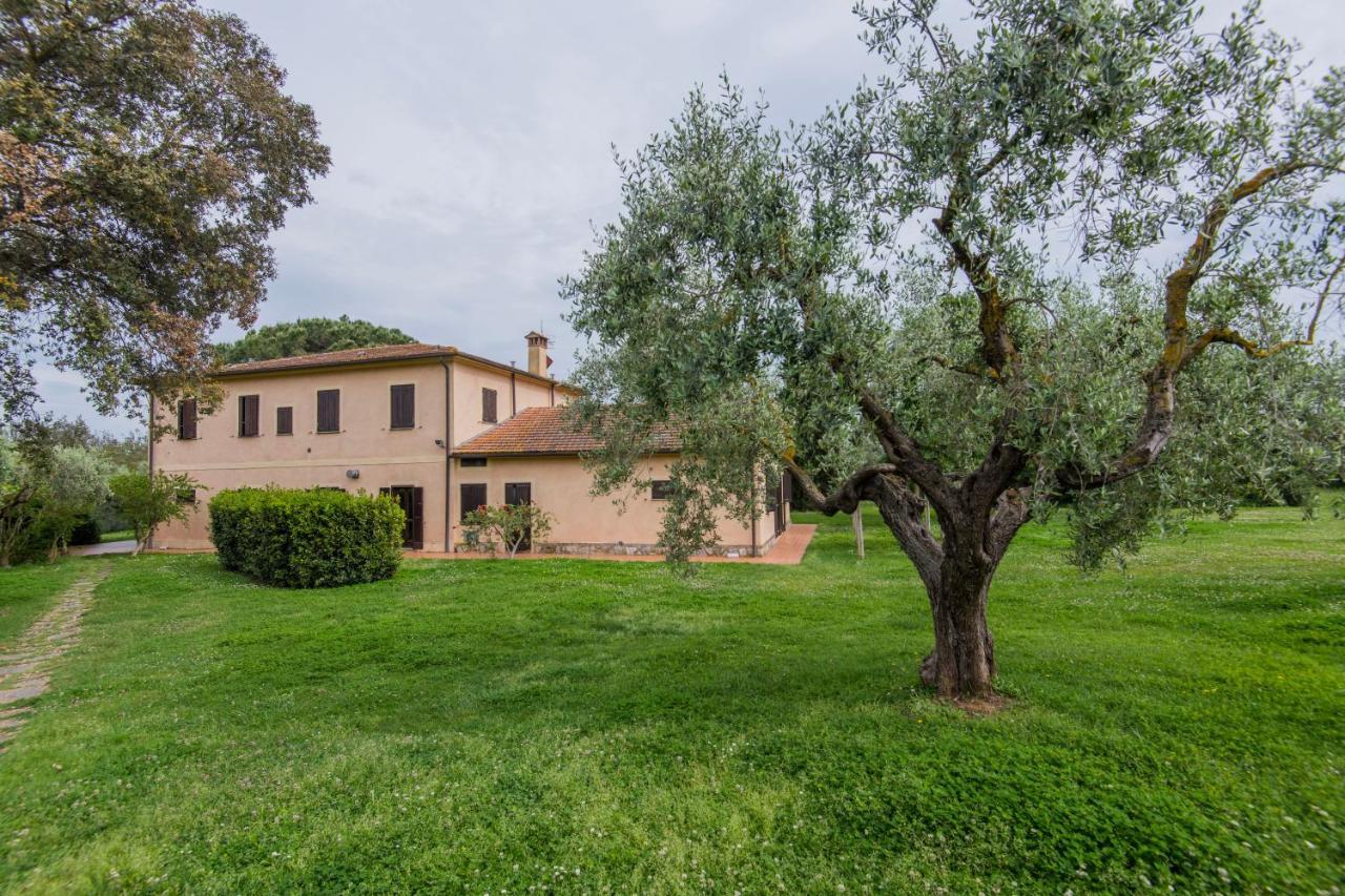 Tenuta Agricola Dell'Uccellina Magliano in Toscana Exteriér fotografie