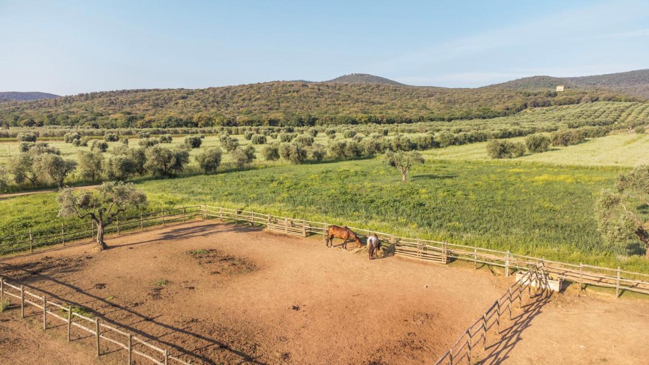 Tenuta Agricola Dell'Uccellina Magliano in Toscana Exteriér fotografie