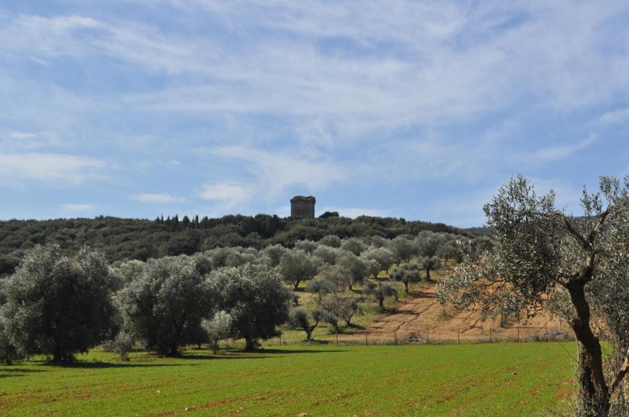 Tenuta Agricola Dell'Uccellina Magliano in Toscana Exteriér fotografie